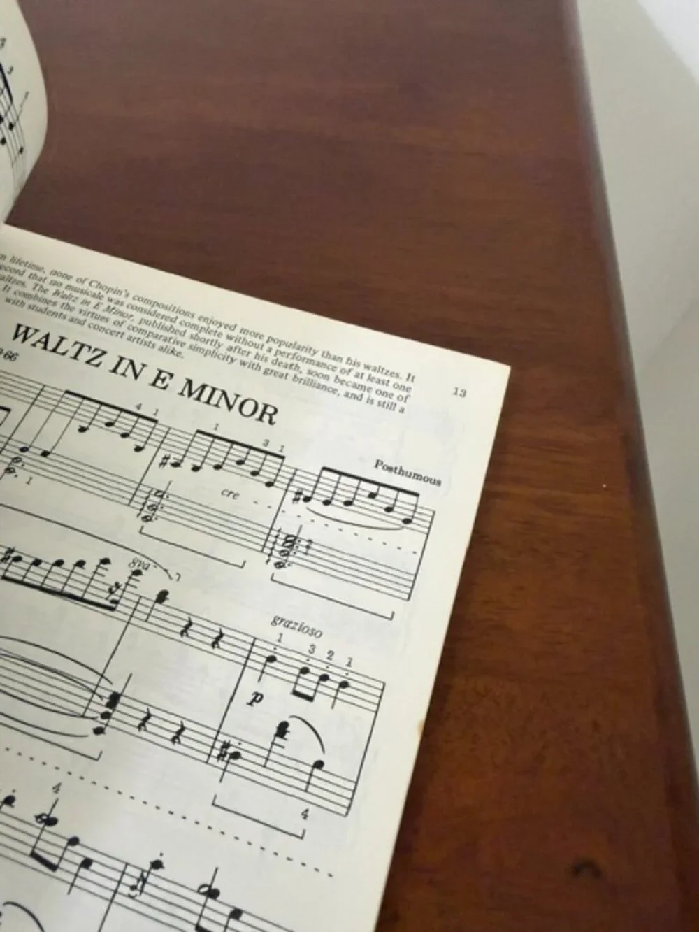 Vintage 1976 Chopin Piano Selections Alfred Classic Edition